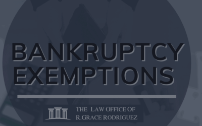 Bankruptcy Exemptions: an Overview